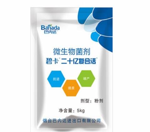 生根劑時(shí)的使用注意事項(xiàng)有哪些