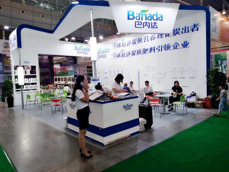 聚焦新疆，巴內達展望未來