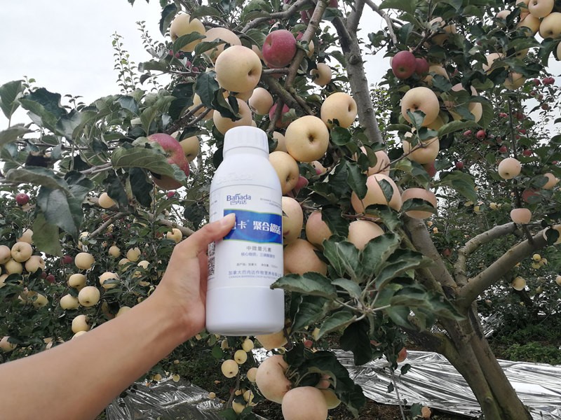 中微量元素水溶肥有那些優(yōu)勢