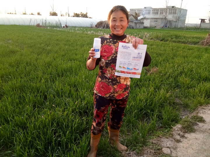 葉面肥哪個(gè)好？促進(jìn)小麥提質(zhì)增產(chǎn)