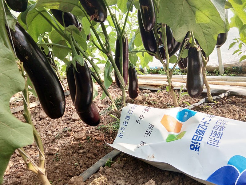 有機肥的基本制造工藝有哪些