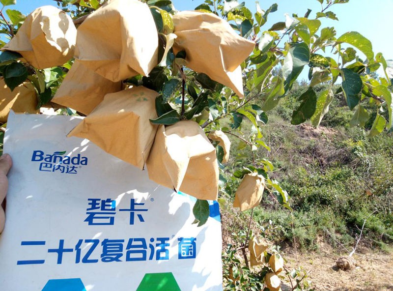 微生物菌劑好不好？使用方法很重要