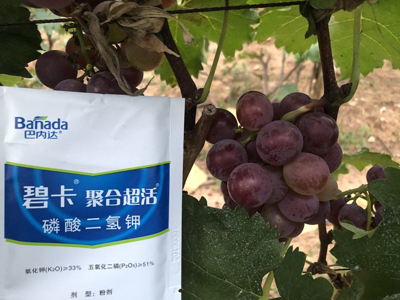 高鉀肥什么時(shí)候用？