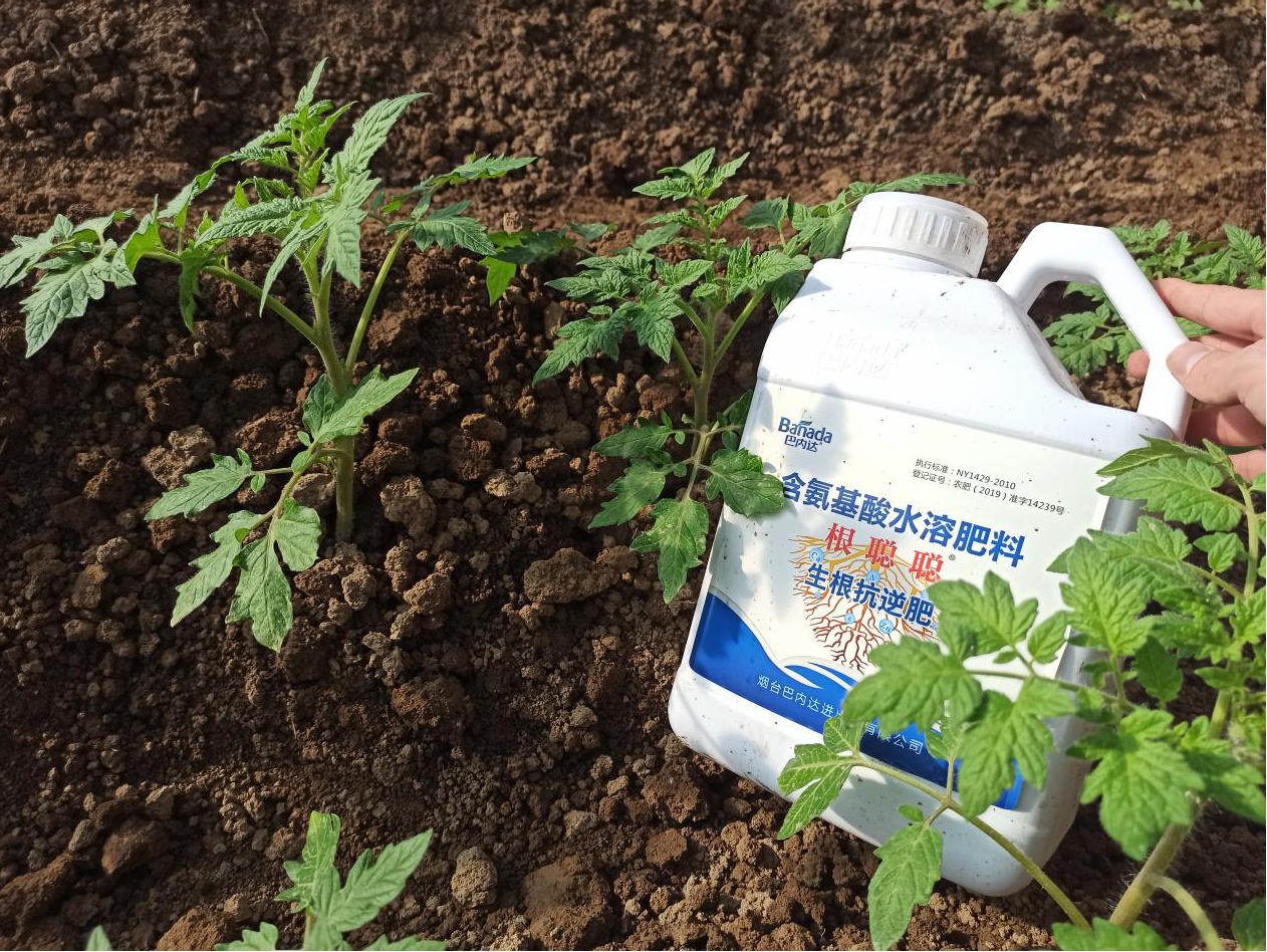 生根劑有哪些？農(nóng)業(yè)種植中該怎么用？